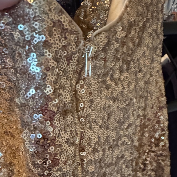 Gold Sequin Dress - Picture 8 of 9
